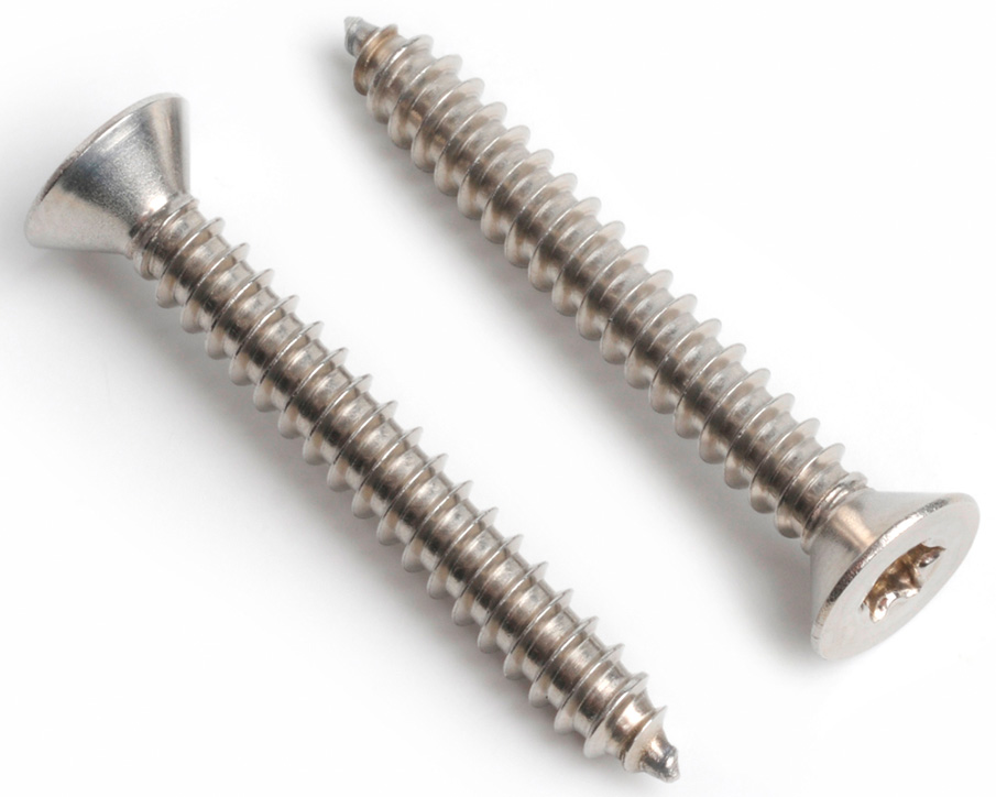 CSK Head Self Tapping Screw Manufacturers in Delhi